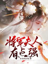 将军夫人有点强